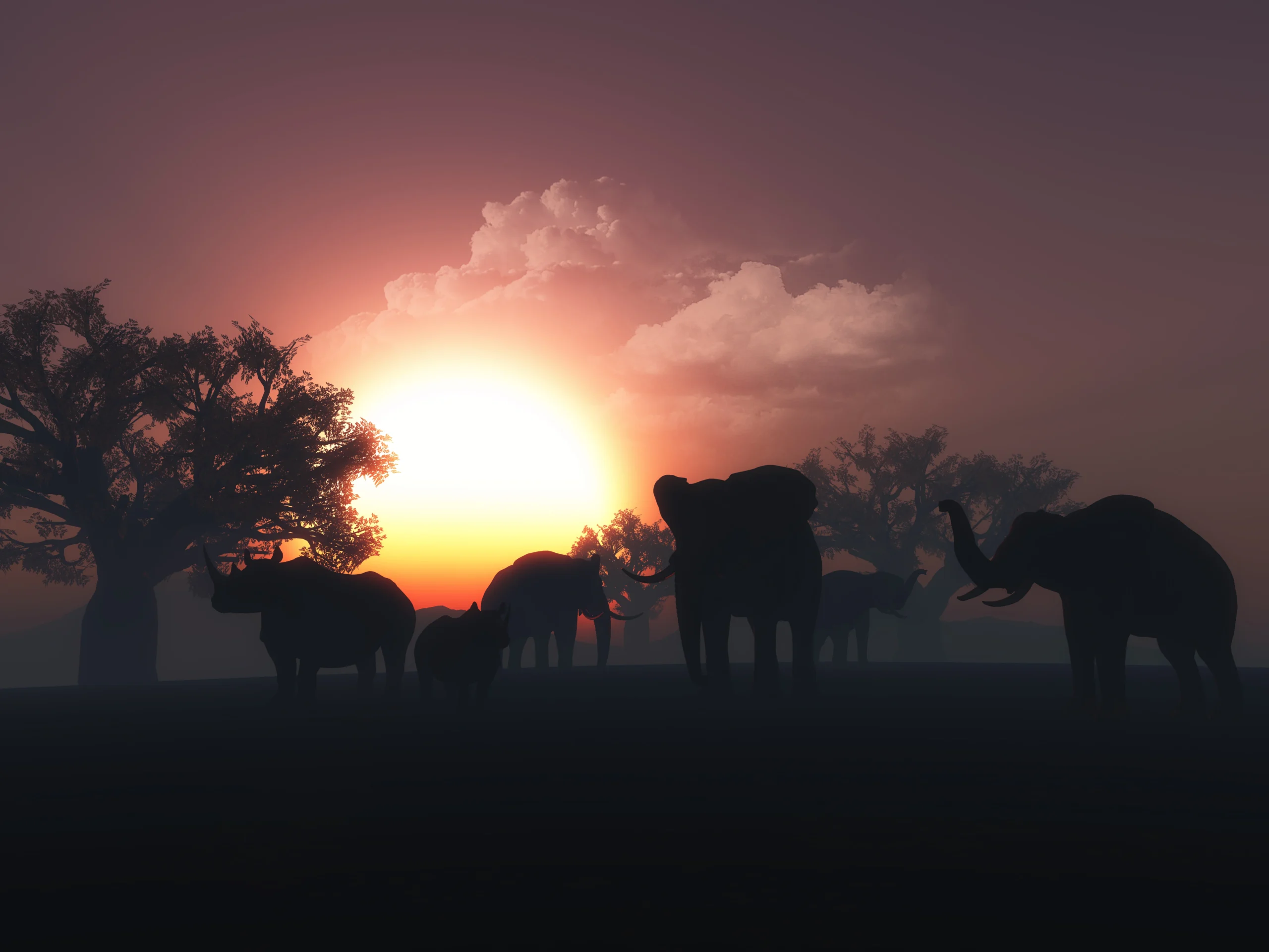 Africa