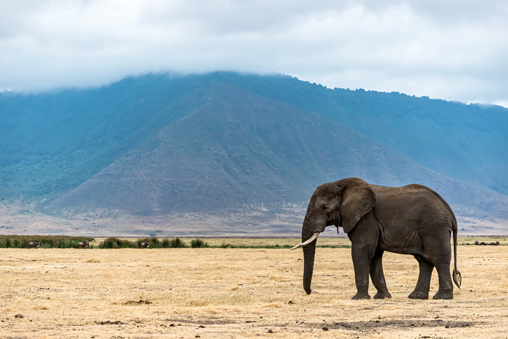 Botswana