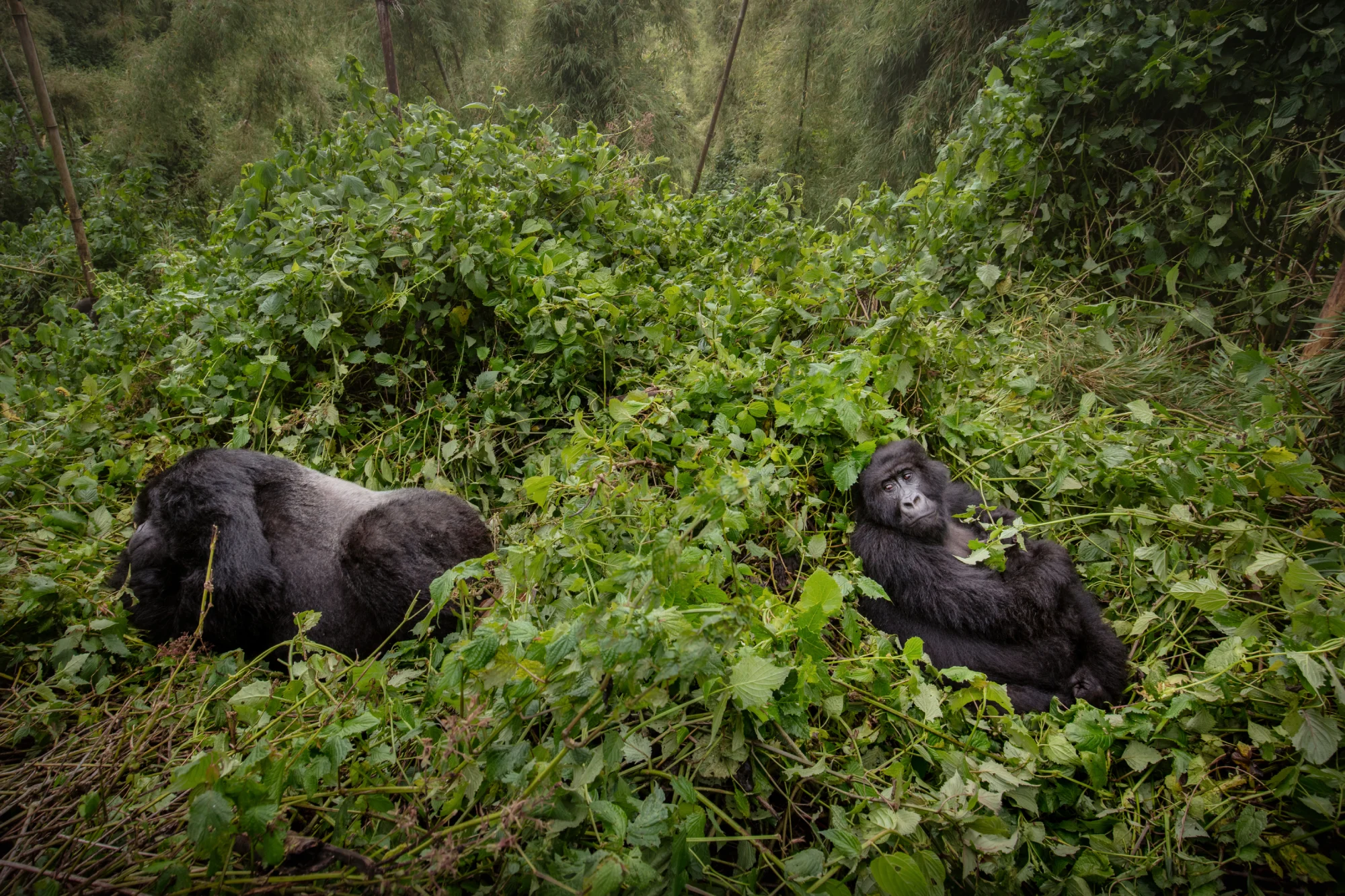 Rwanda